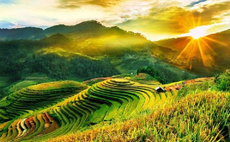 mu cang chai tham quan mua 1170 4