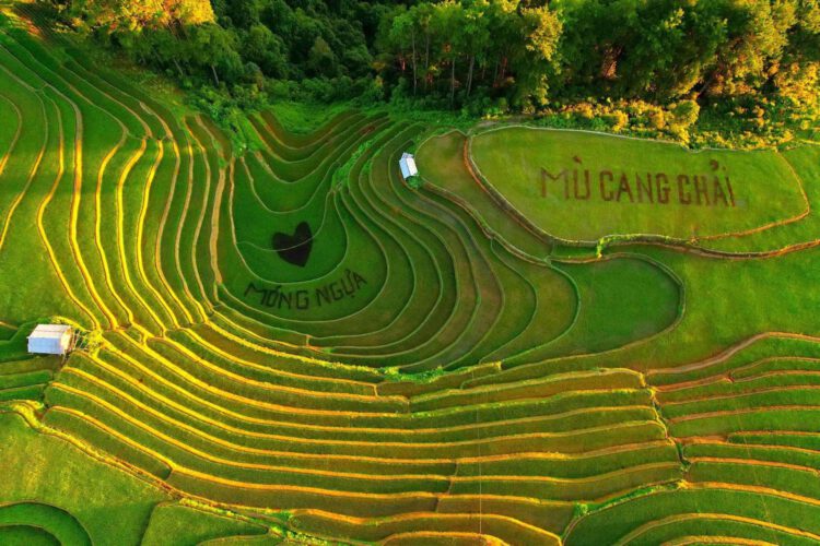 mu cang chai tham quan mua 1170 5